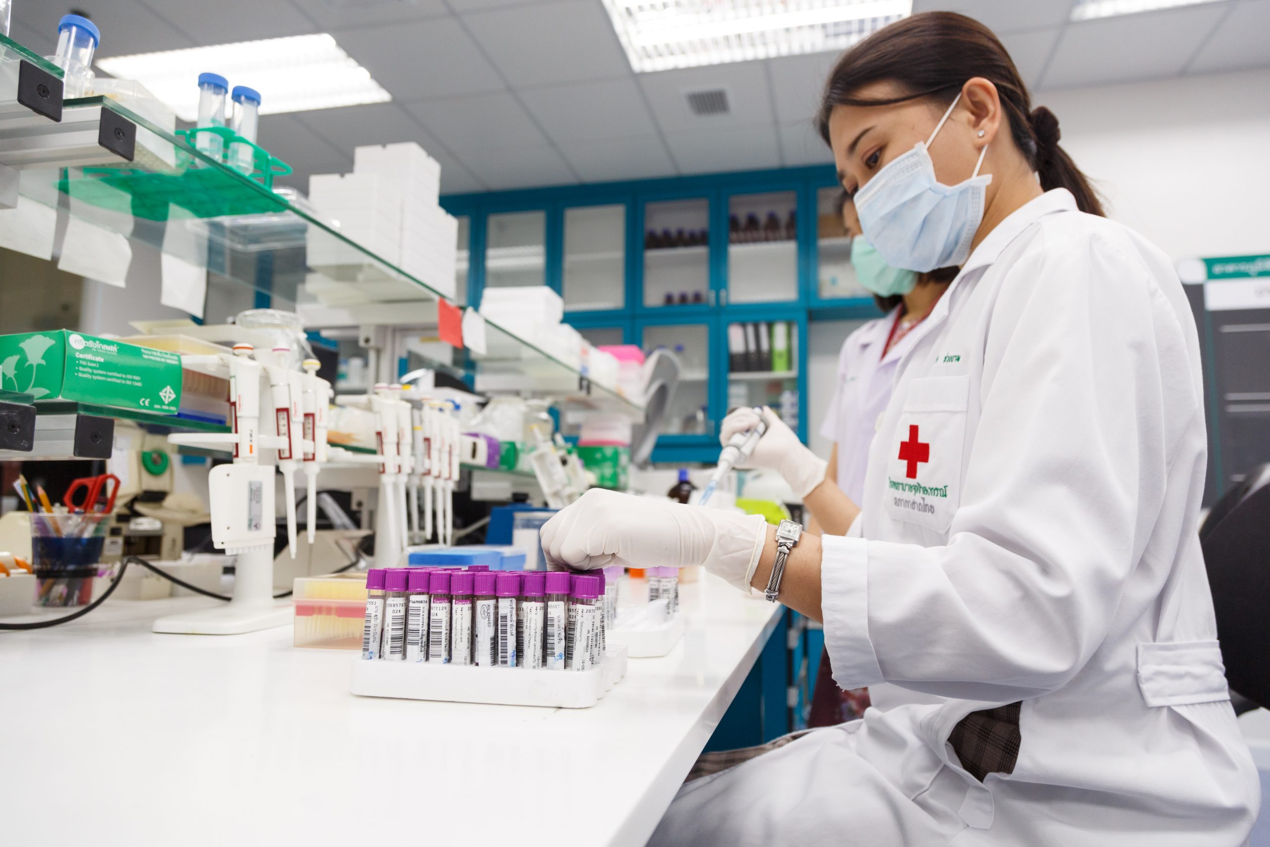 Excellence Center in Diabetes, Hormone and Metabolism - School of ...